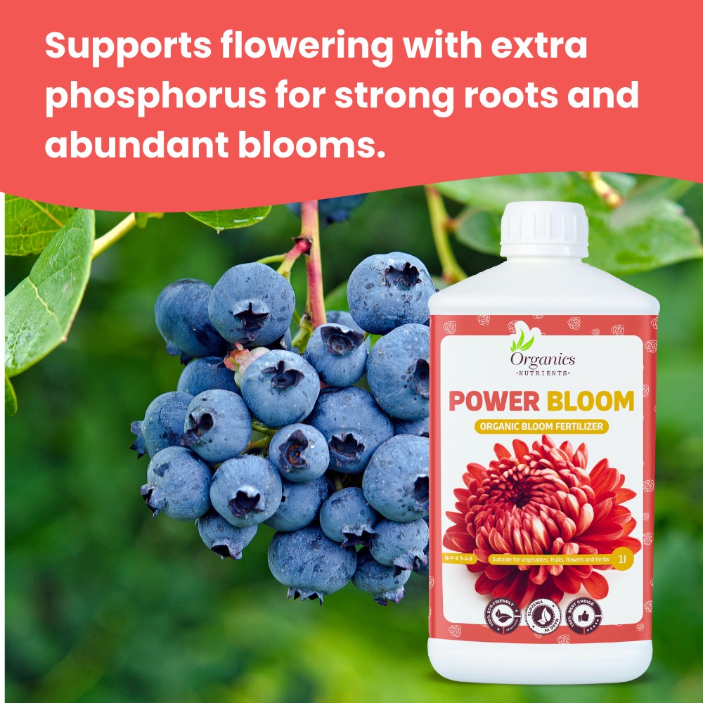 Power Bloom Inhaltsstoffe