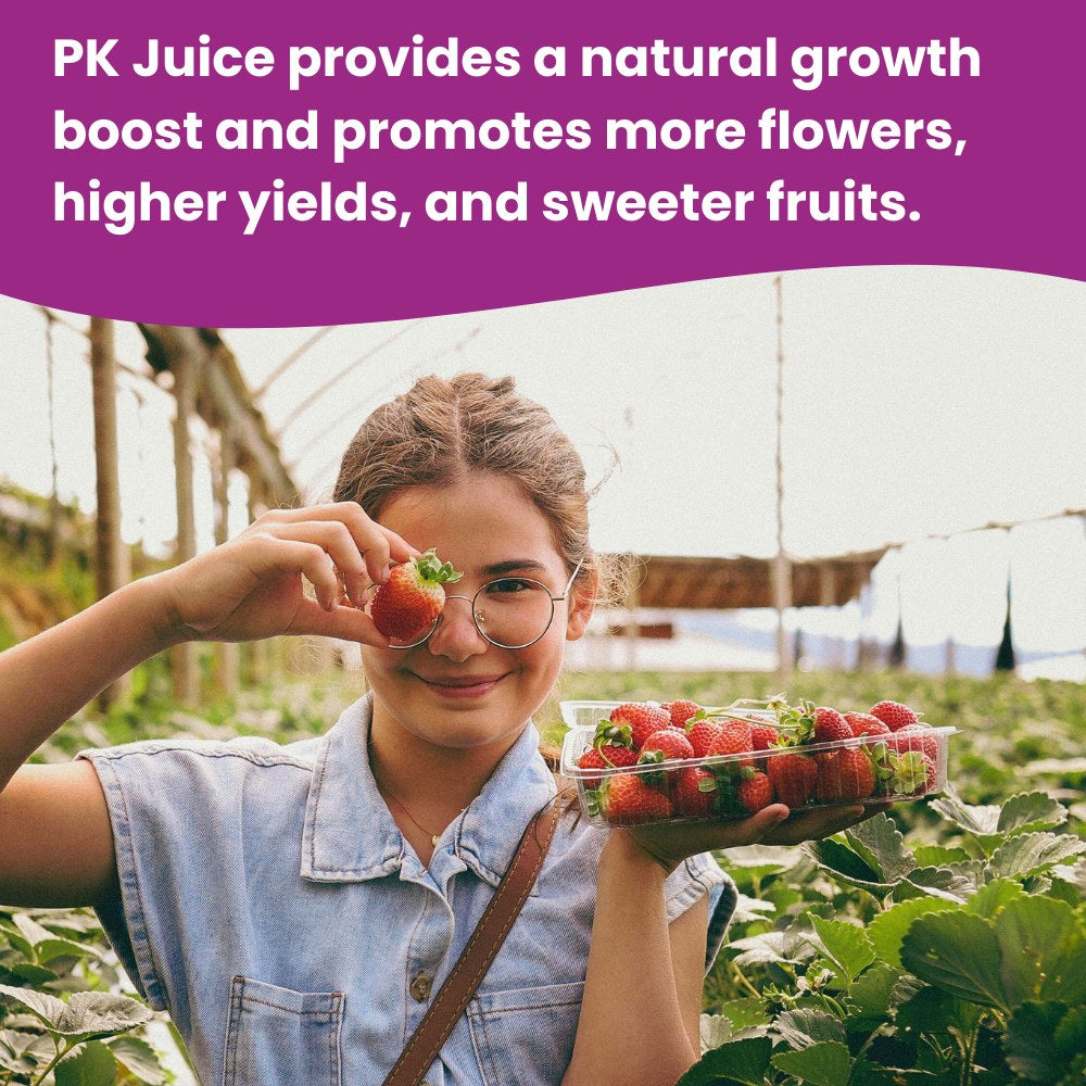 PK Juice Inhaltsstoffe
