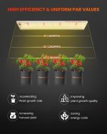 Spider Farmer SF300 33W LED Grow Lampe – Vollspektrum LED für Keimlinge & Indoor Anzucht