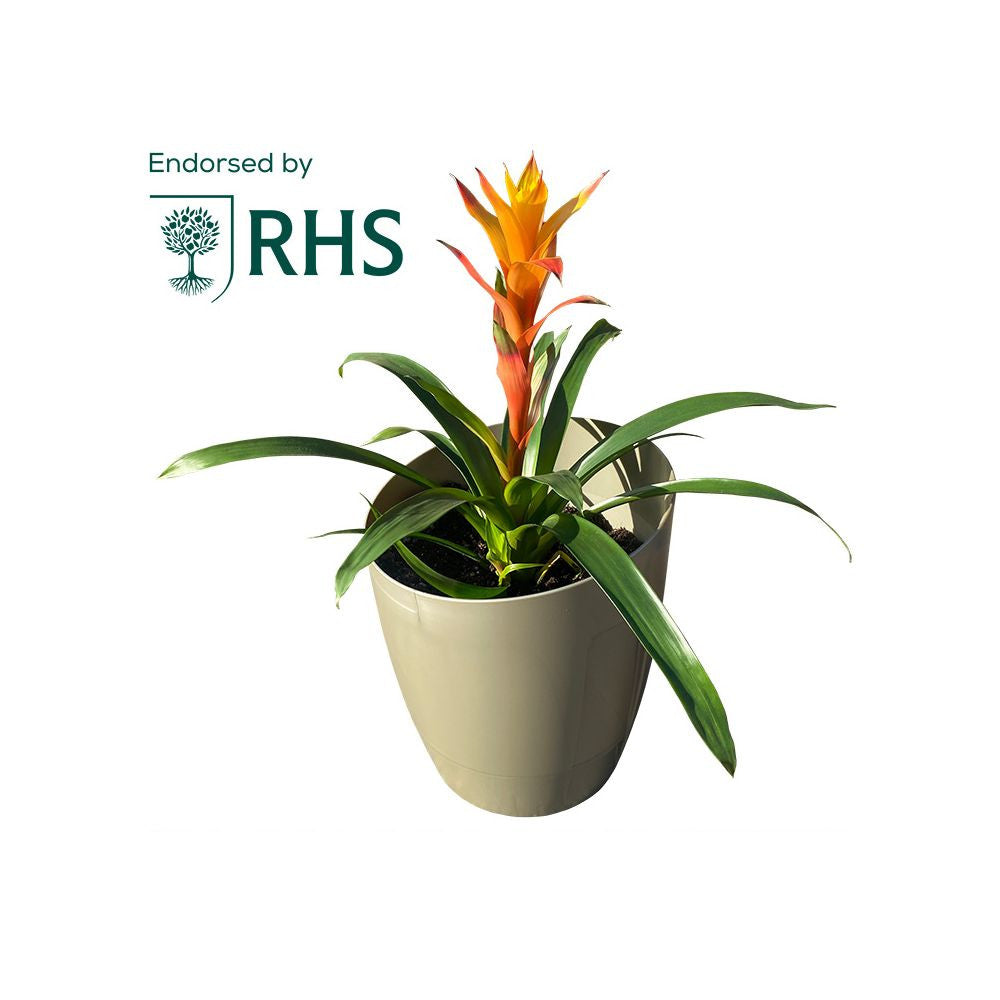 Autopot KhlorisPot, Extension Kit (Sage)