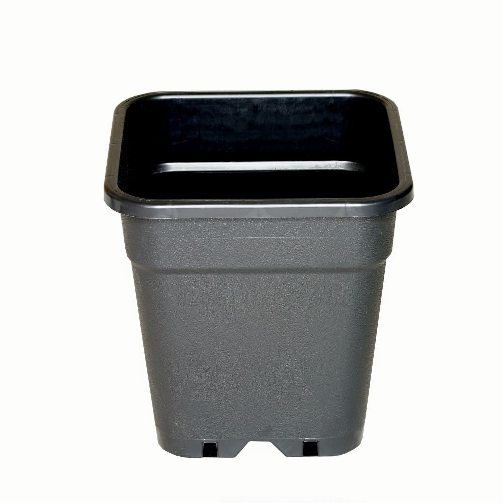 Atami Wilma Blumentopf eckig 18L - 31x31x32 cm