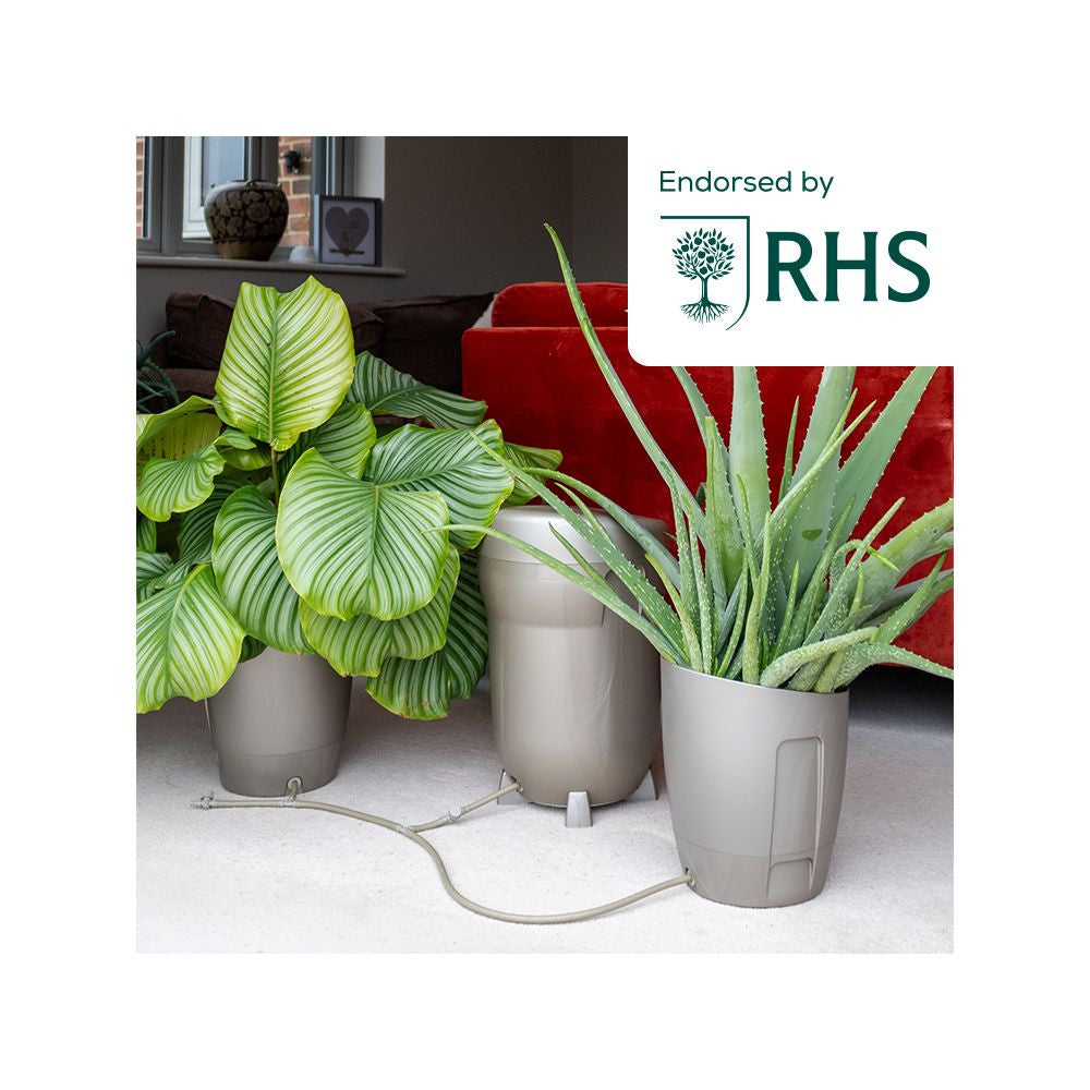 Autopot KhlorisPot, komplettes Bewässerungssystem (Sage)