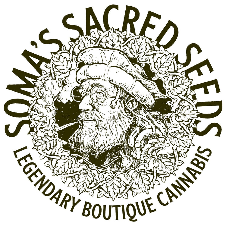 Soma Seeds