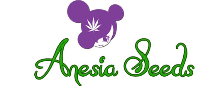Anesia Seeds Logo