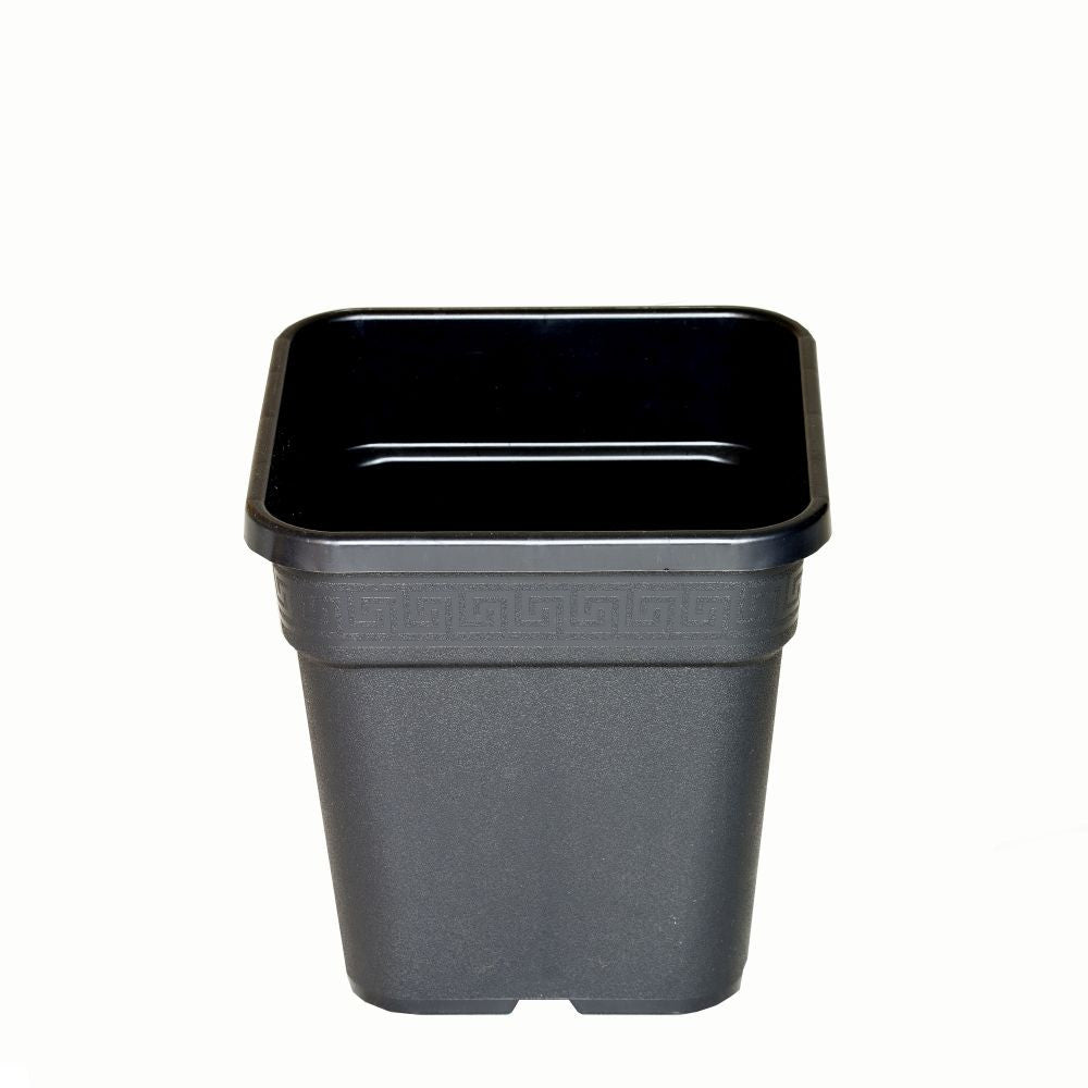 Atami Wilma Blumentopf eckig 11L - 24x24x28 cm