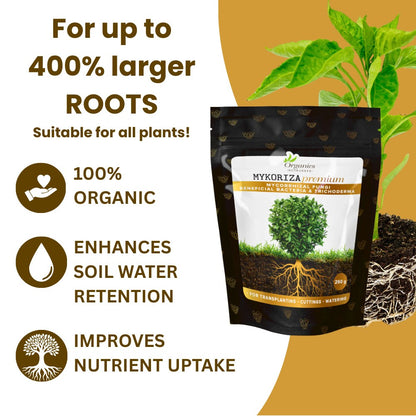 Mykoriza Premium Anwendung