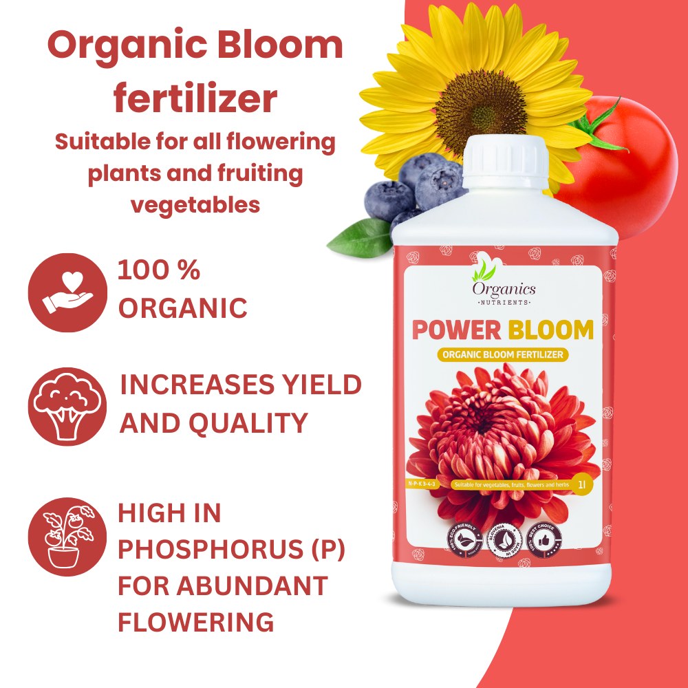 Power Bloom Anwendung