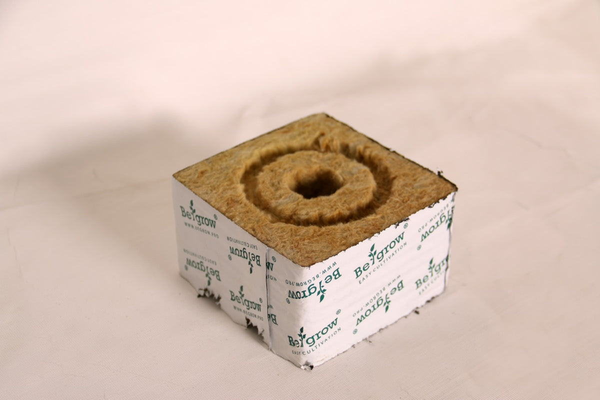 Begrow® Anbauwürfel 100 × 100 × 65 mm, mit kleinem Loch, 1 St.