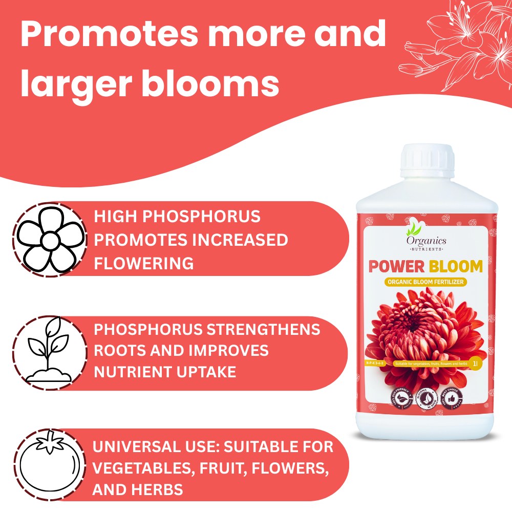 Power Bloom Dosierung