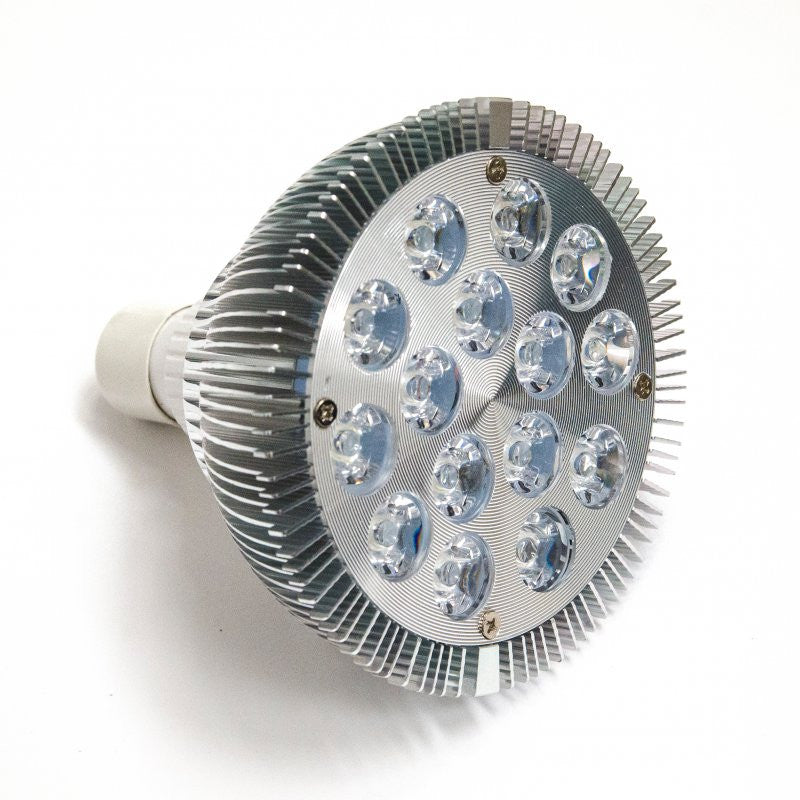 LED-Glühbirne SunPro PAR38 - 15W/2700K