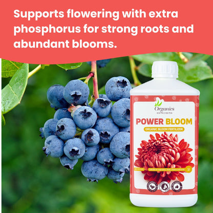 Power Bloom Inhaltsstoffe