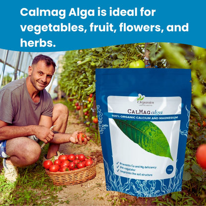 CalMag Alga Inhaltsstoffe