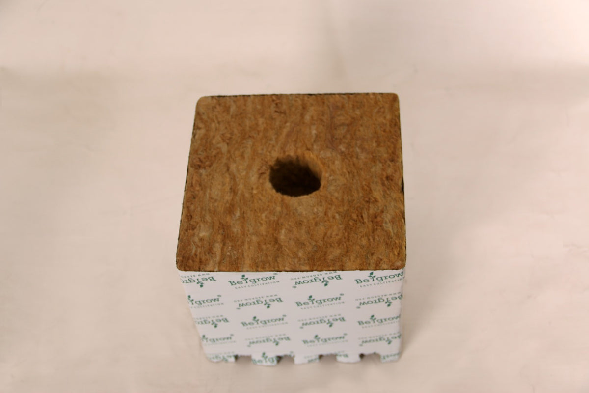 Begrow® Anzuchtwürfel 150 × 150 × 142 mm, mit großem Loch, 1 St.