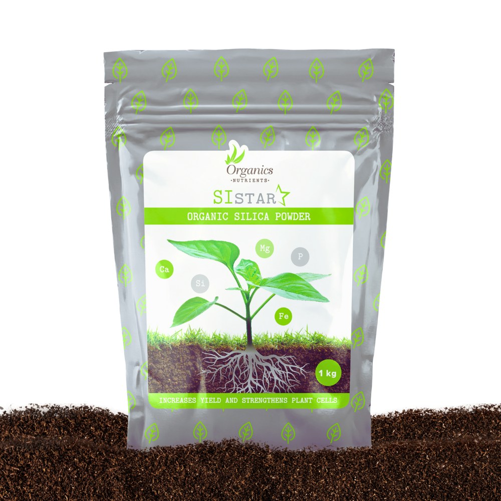 Organics Nutrients SiStar organisches Silizium-Pulver Beutel