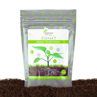 Organics Nutrients SiStar organisches Silizium-Pulver Beutel