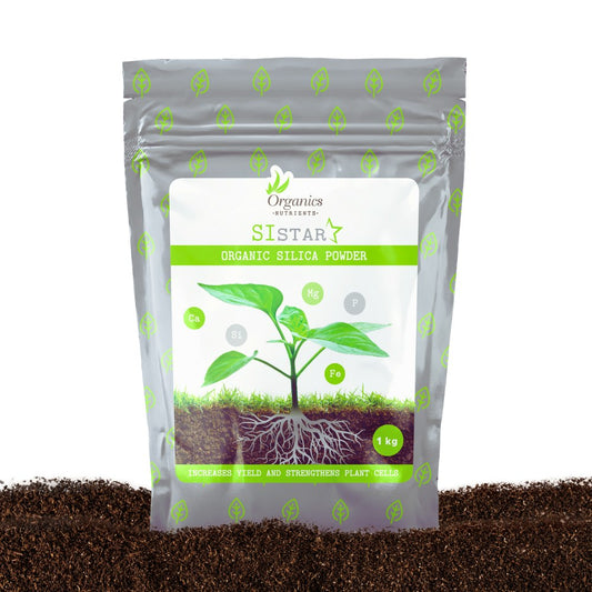 Organics Nutrients SiStar organisches Silizium-Pulver Beutel