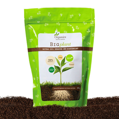 Organics Nutrients Big Plant organischer Universaldünger Beutel