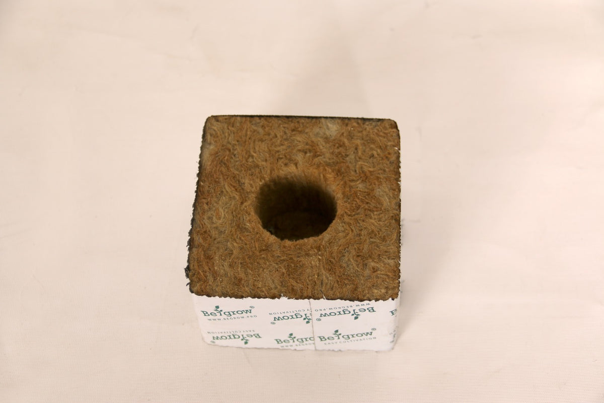 Begrow® Anzuchtwürfel 75 × 75 × 65 mm, mit großem Loch, 1 St.
