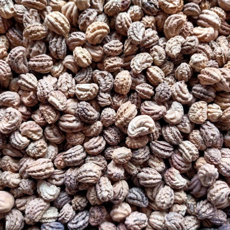 Niedrige Kapuzinerkresse für Microgreens, 1 kg