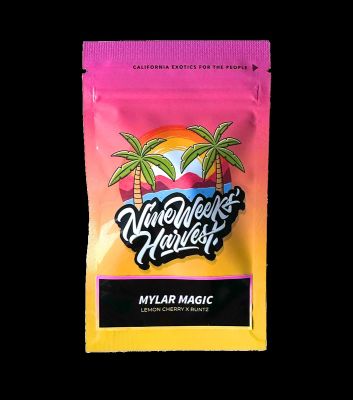 Mylar Magic (6 Stk. | Feminisiert) - Nine Weeks Harvest