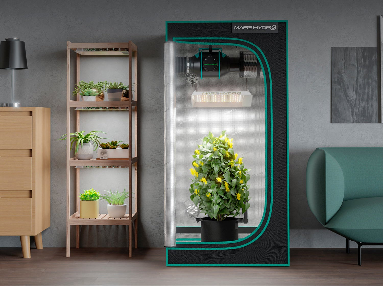 Mars Hydro Komplettset im Wohnzimmer