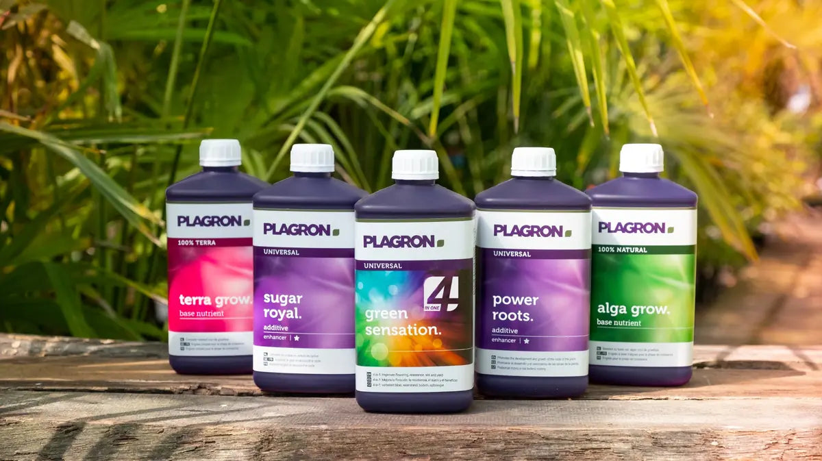Verschiedene Dünger von Plagron nebeneinander aufgestellt
