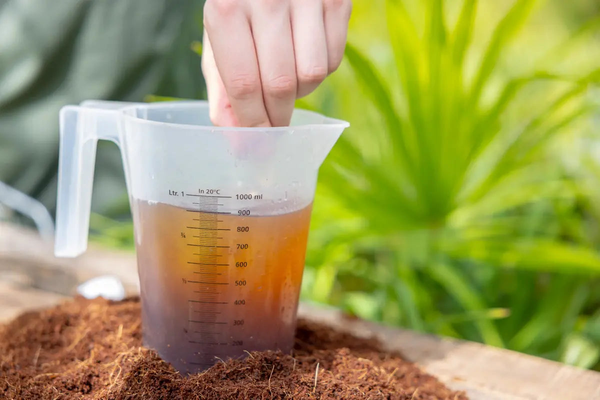 PLAGRON Dünger in Messbecher