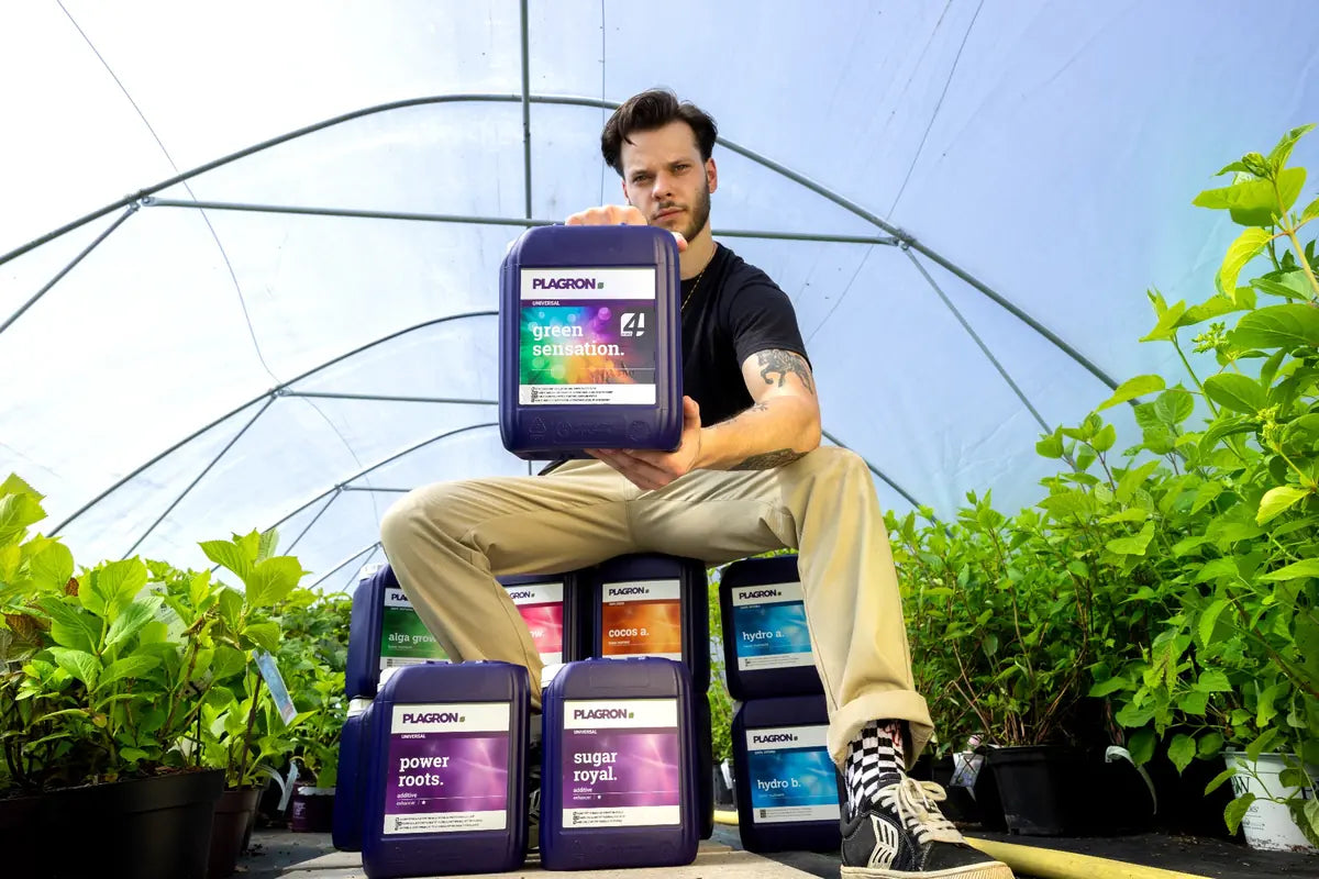 Züchter in Gewächshaus mit verschiedenen Düngern