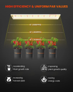 Spider Farmer SF600 74W LED Grow Lampe – Vollspektrum LED Grow Light für Indoor Pflanzen & Hydroponik