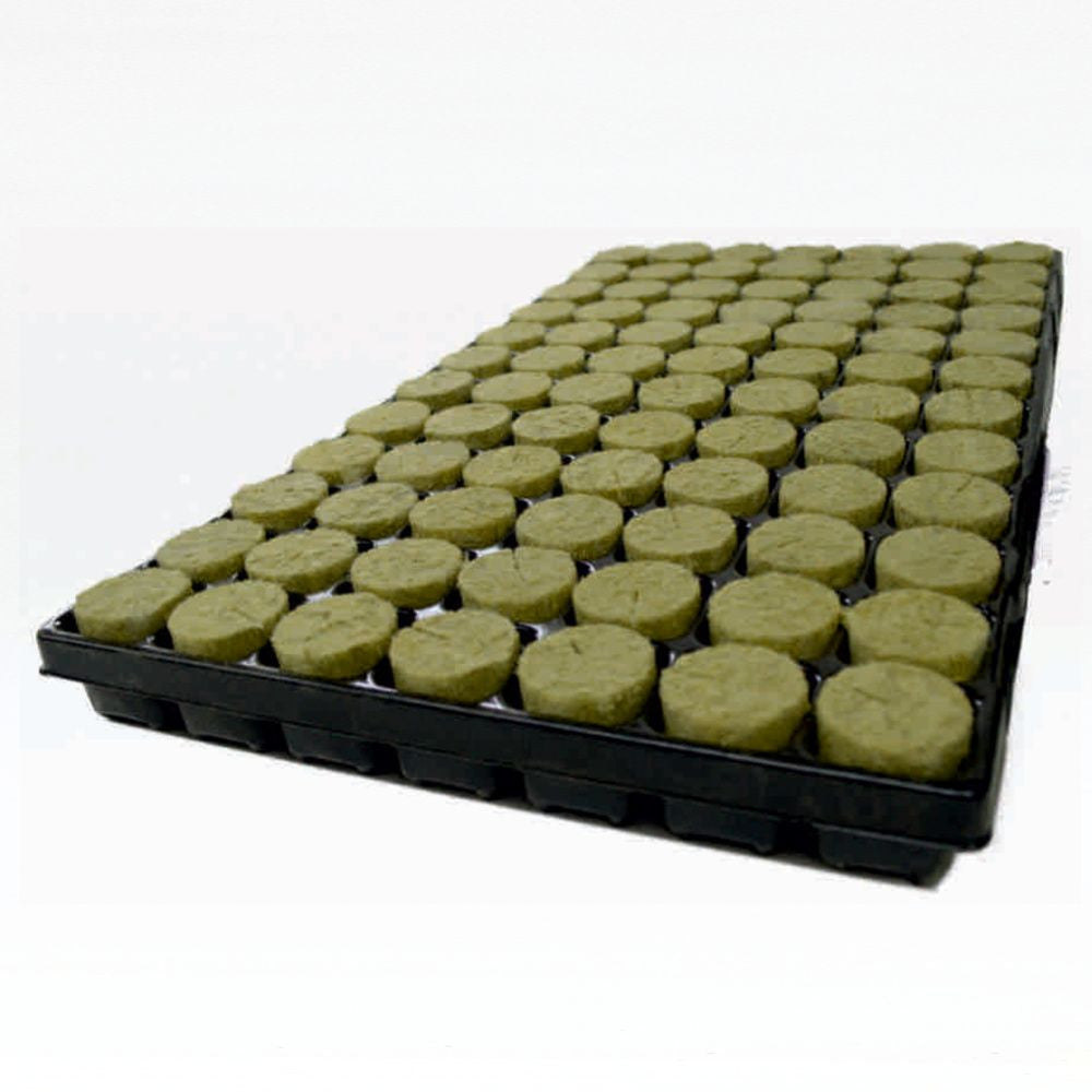 Agra-Wool Speedgrow BASIC Plug 38x40 mm - Anzuchtplatte 84 St.