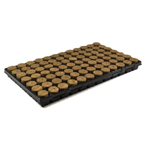 Agra-Wool Speedgrow Plug 38x35 mm, Aussaattabletten mit Pflanzer 84 Stk., BOX 11 Stk