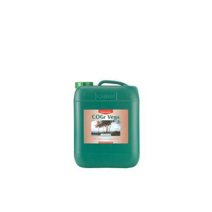 Canna Cogr Vega A+B