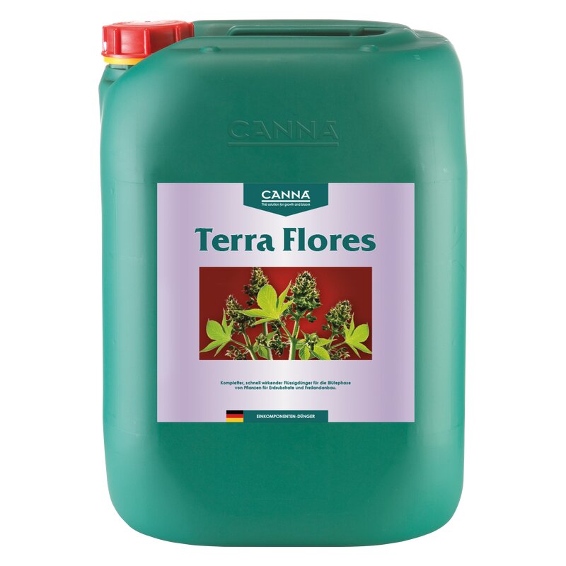 Canna Terra Flores