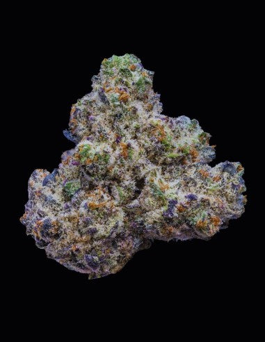 Lemonnade Bogota feminisierte Hanfsamen – Original Seed Pack