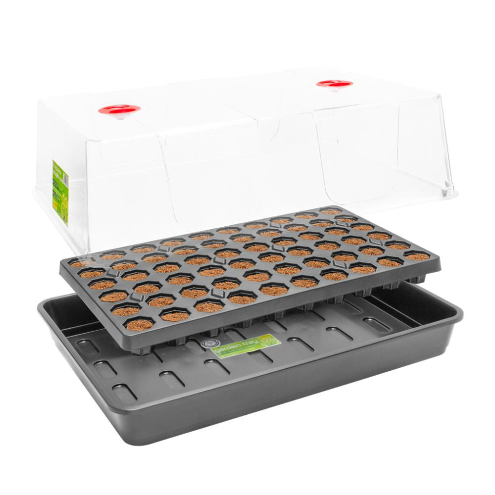 Root!t Dry Peat Free 60 Cell Propagator Kit unbeheiztes Gewächshaus, 58x40.5x22.5 cm