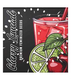 Cherry Limeade (6 Stk. | Feminisiert) - Doja