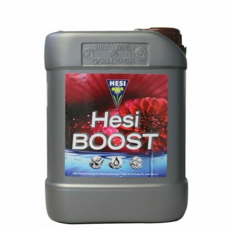 Hesi Boost